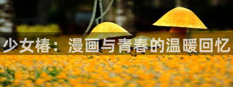 yy漫画登录页面免费漫画在线观看：少女椿：漫画与青春的温暖回忆
